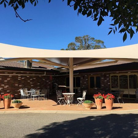 וואגה וואגה Quality Inn Carriage House מראה חיצוני תמונה